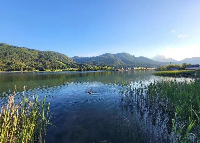 Haus Lackner Am In Kärnten